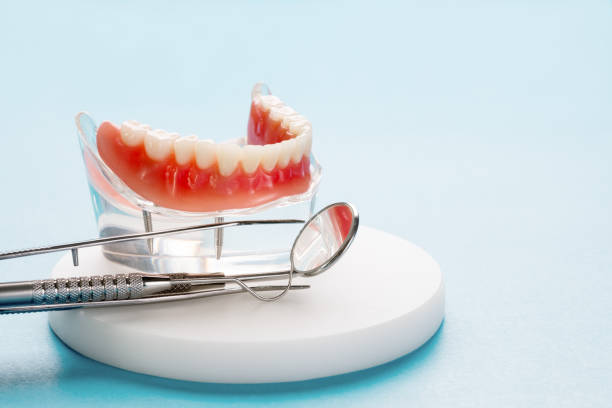 Professional  Holistic Dental Services in East Camden, SC